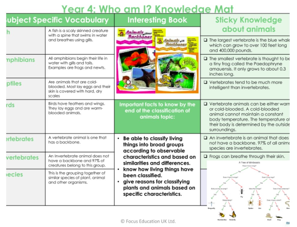 Knowledge mat year 4