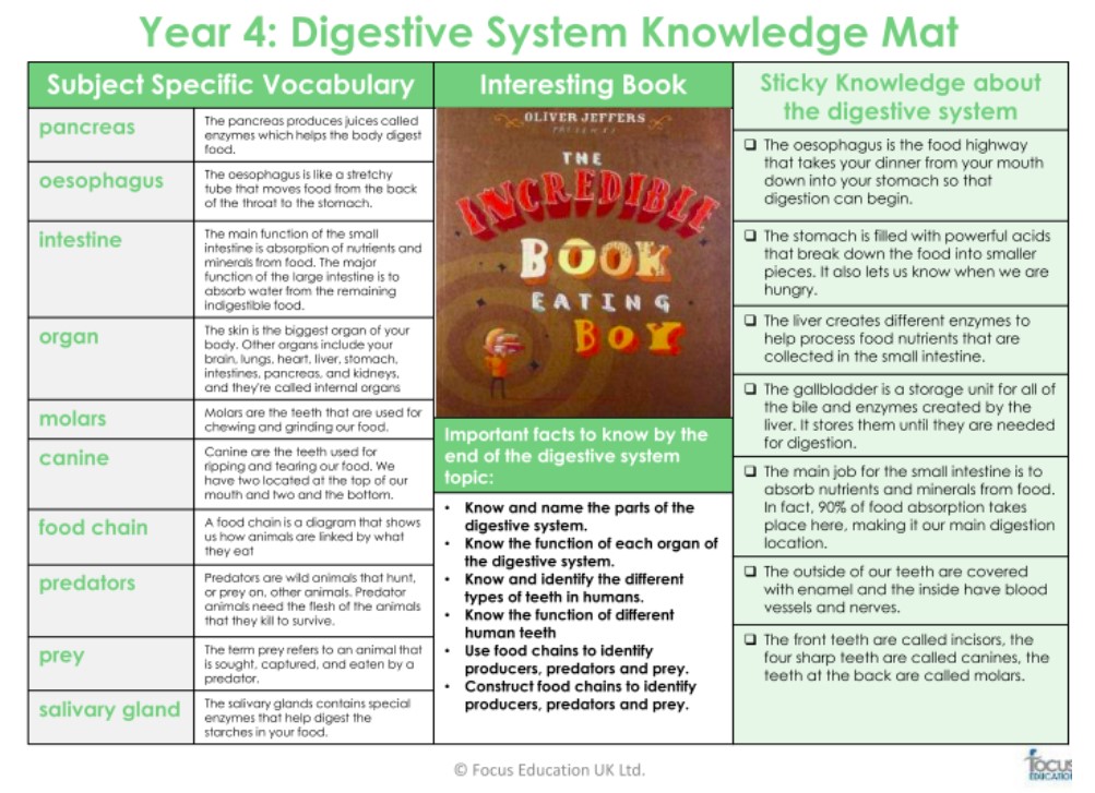 knowledge mat year 4 3